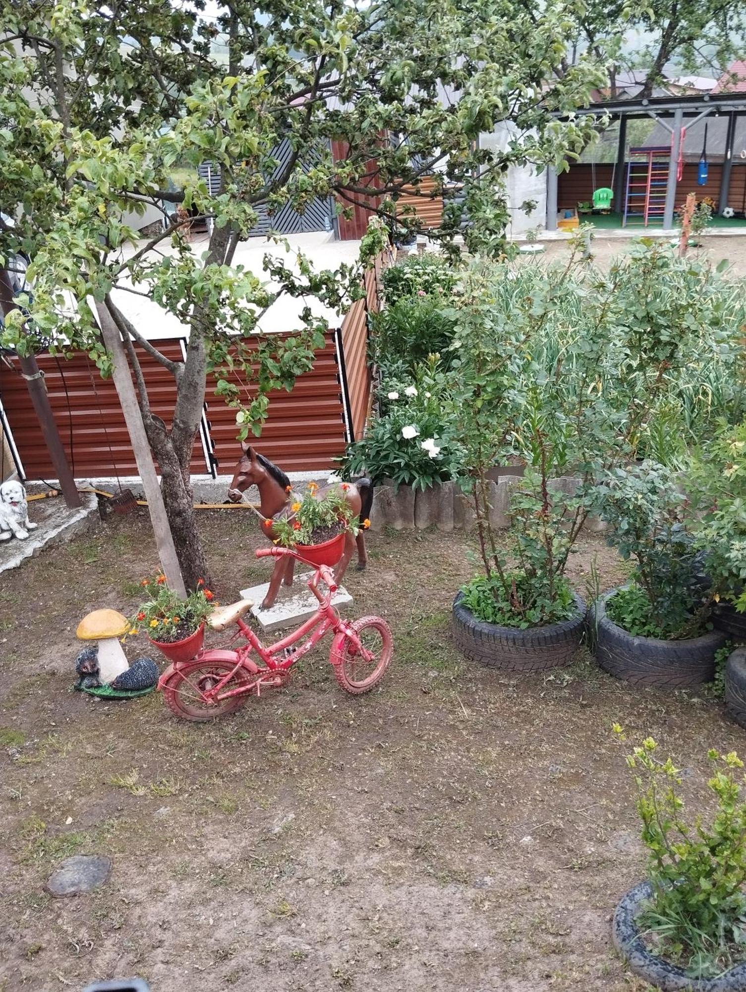 Ferienwohnung У Ондраша Jassinja Exterior foto